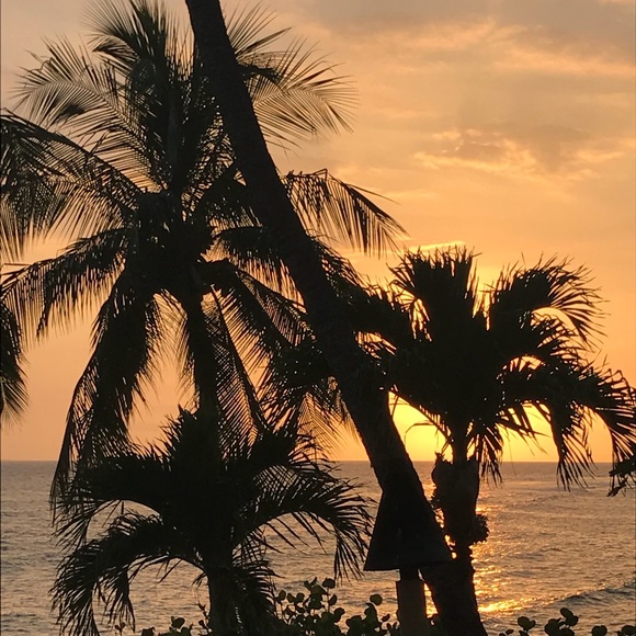 Meet your Posher, Jonina - Picture 1 of 1